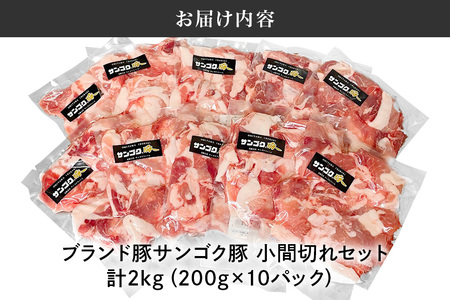 ブランド豚「サンゴク豚」 小間切れセット 2kg 豚ロース 小間切れ 細切れ こま切れ 豚こま 豚小間 豚小間肉 小分け 2-P