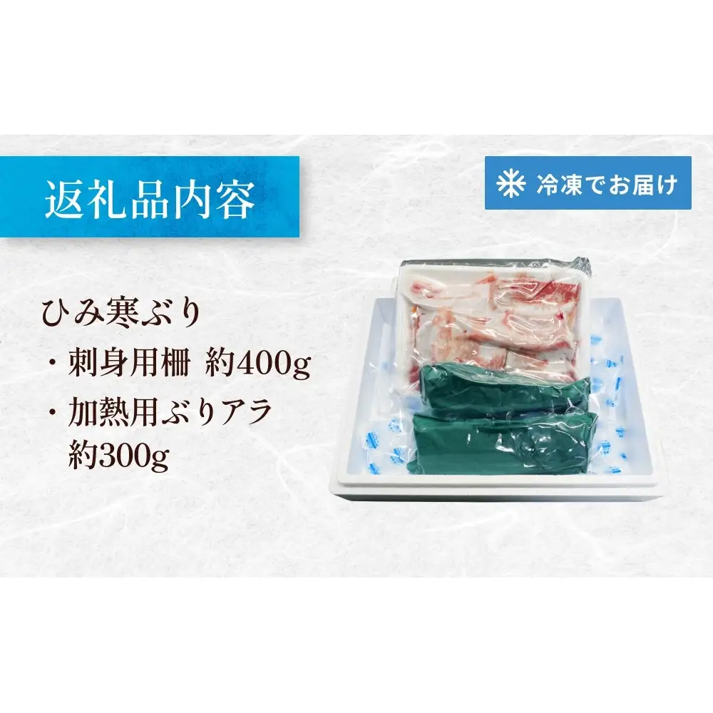 【先行予約】【魚問屋直送】天然「生ひみ寒ぶり」刺身用 約400g＜アラ付き＞ 