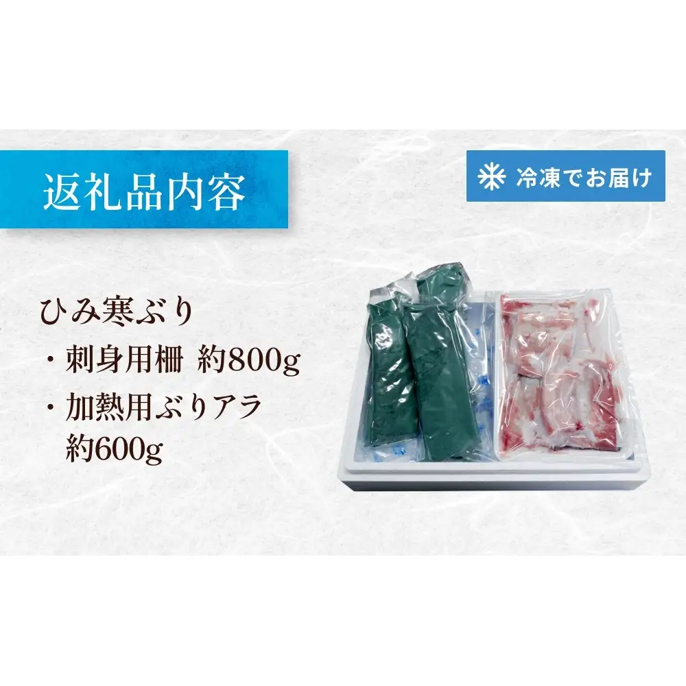 【先行予約】 【魚問屋直送】天然「生ひみ寒ぶり」刺身用 約800g〈アラ付き〉