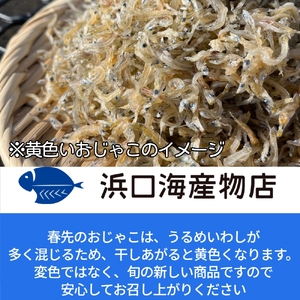 無添加 カマスの干物２種＆じゃこ２種 計４袋詰め合わせセット【R00824】