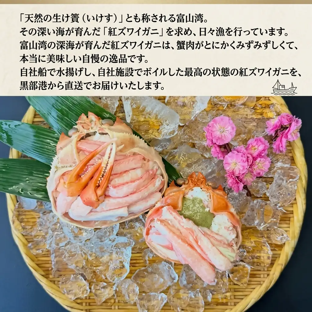 紅ズワイガニ 富山湾産 タグ付き カット済 紅ズワイガニ【大サイズ】