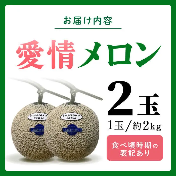 先行予約 年内発送 愛情 メロン 2玉【とみおか農園】[ZEM001]