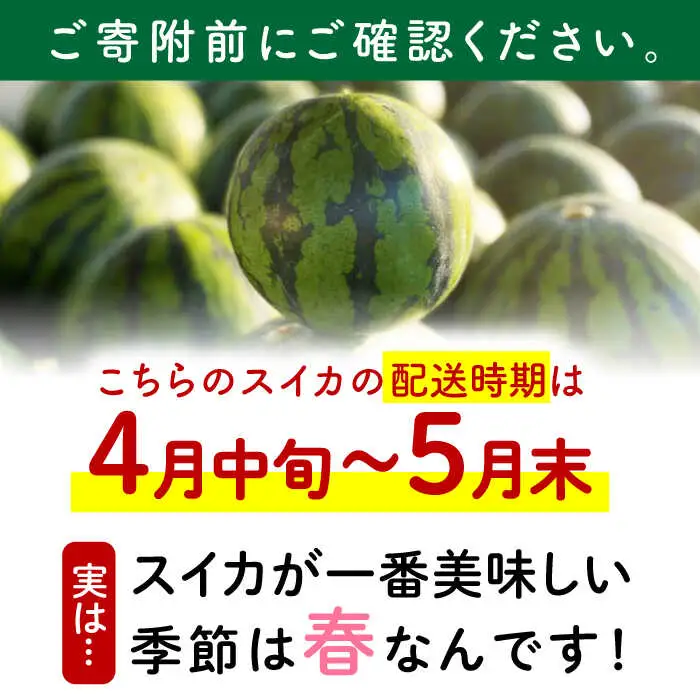 先行予約 ひとりじめBonBonリッチ黒皮小玉スイカ2玉すいか西瓜ZEM002