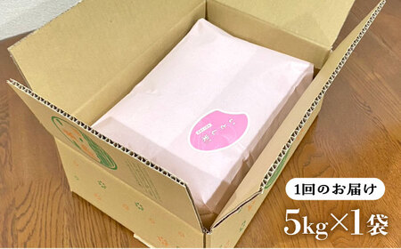 【全6回定期便】いとし米 厳選夢つくし 5kg×6回 (糸島産) 糸島市 / 三島商店 [AIM022] 米 白米