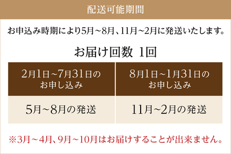 京都・京丹後 野菜セット【アスカ有機農園】旬の京丹後野菜セットS（栽培期間中　お試しサイズ・農薬・化学肥料不使用）＜京都 オーガニック アクション加盟＞京野菜セット・野菜 詰め合わせ・栽培期間中 無農薬・有機野菜（オーガニック野菜）などのセット・新鮮野菜・旬野菜・京野菜・有機野菜