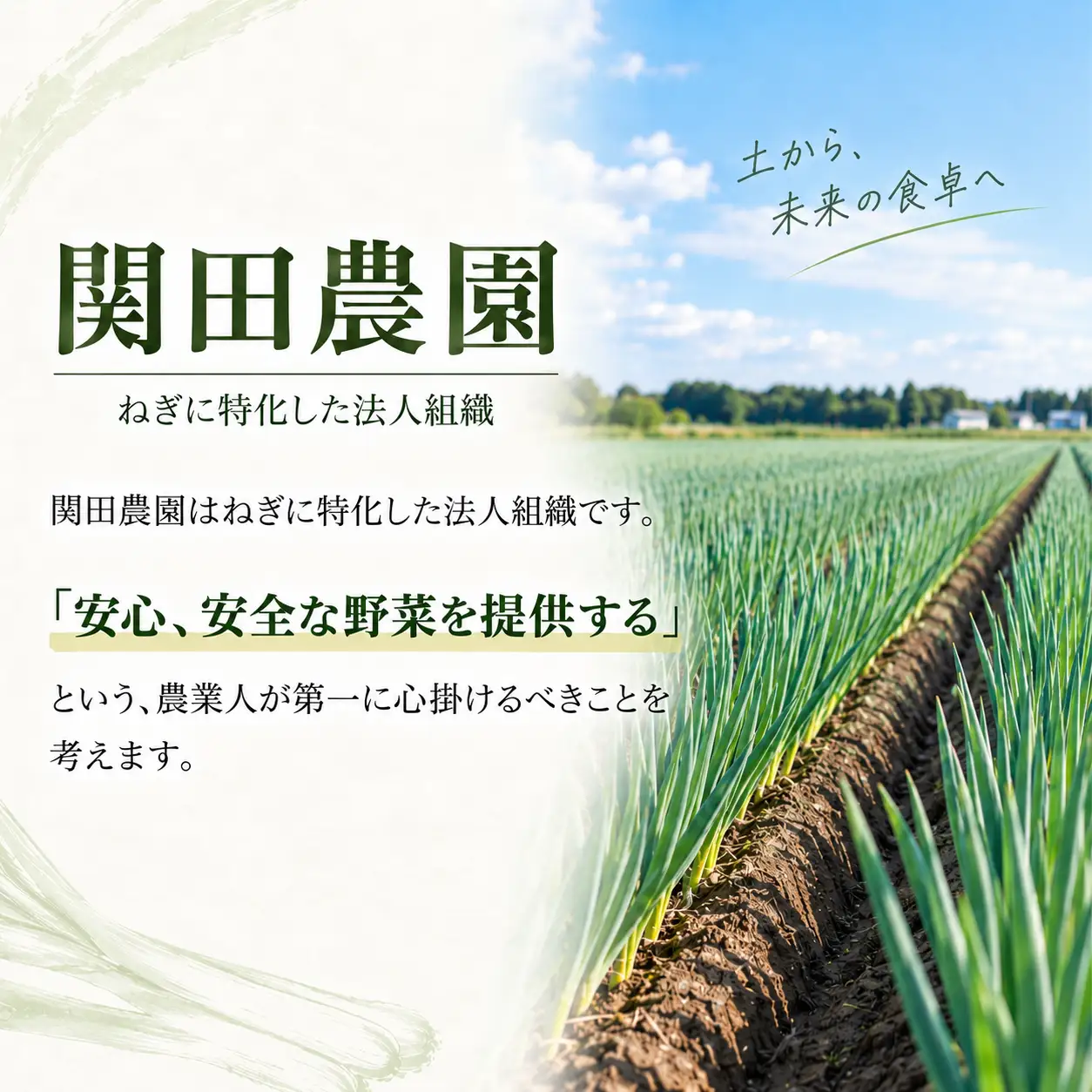 関田農園の「厳選 長ねぎ（剥き）」 5kg