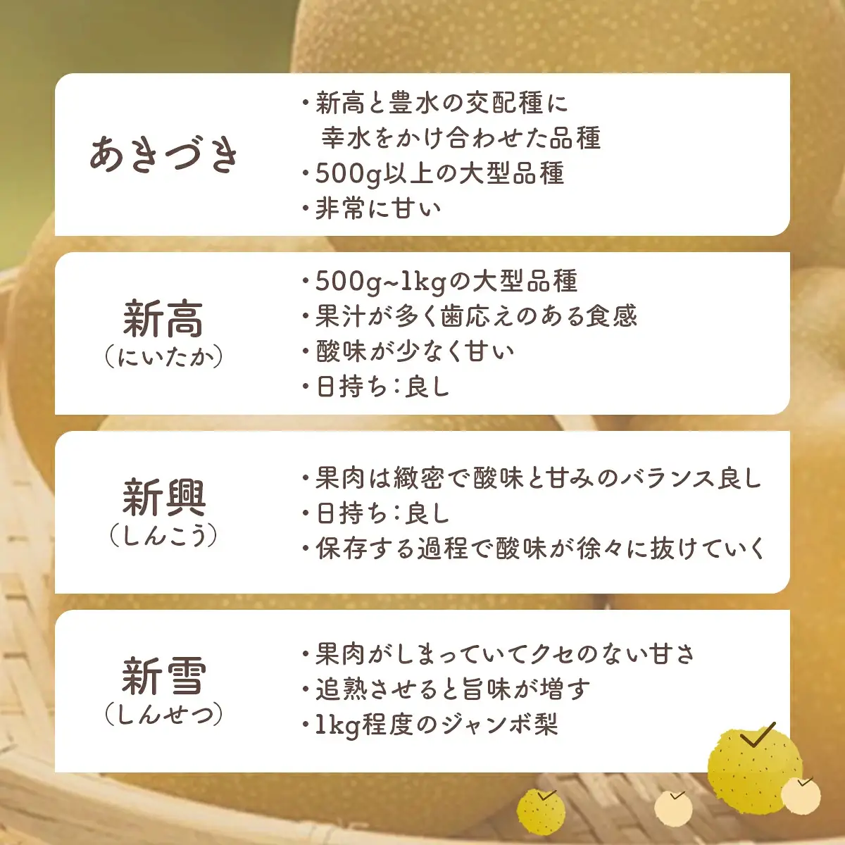 白岡の梨「白岡美人」あきづき梨約5kg（12～14玉）　【11246-0084】