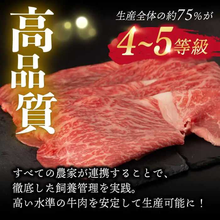 【3回定期便】【限定生産】モモスライス 長崎和牛 出島ばらいろ（600g/回）【肉のマルシン】 [FG20] 肉 牛肉 モモ スライス 赤身 しゃぶしゃぶ すき焼き 定期便