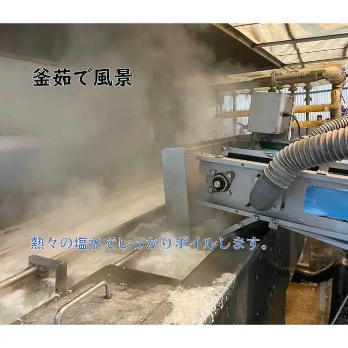 しらす干し　1040g（130g×8パック）【茨城県共通返礼品 大洗町】 No.442