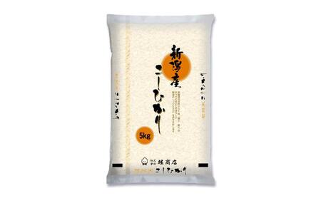新潟市産コシヒカリ 白米 10kg お米 精米 ご飯 代表 自然 飽きない 自信 美味しい 