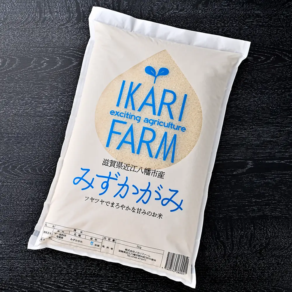【新米】令和8年産　冷めても美味しいあっさりとした味わい「みずかがみ」白米【5kg】【C014W2】 近江米