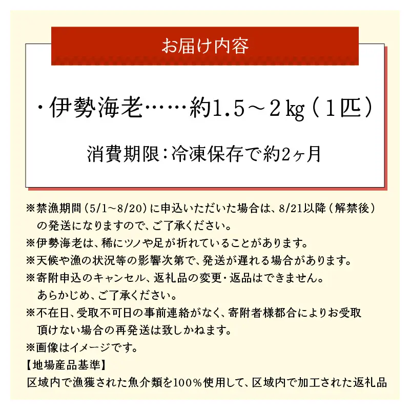 沖永良部島直送！素潜り漁師オススメの特大冷凍伊勢海老 約1.5～2キロ（1匹）！ W030-009u 冷凍 海鮮 エビ