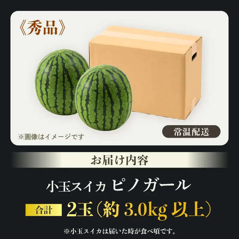 【先行予約】佐藤農園の小玉スイカ ピノガール 2玉（計3kg以上）／福井県 あわら市 フルーツ 夏 果物 西瓜 秀品 農家直送 有機肥料 低農薬 佐藤農園 ※2027年5月下旬～6月末の間に順次発送 [aw069-a014]
