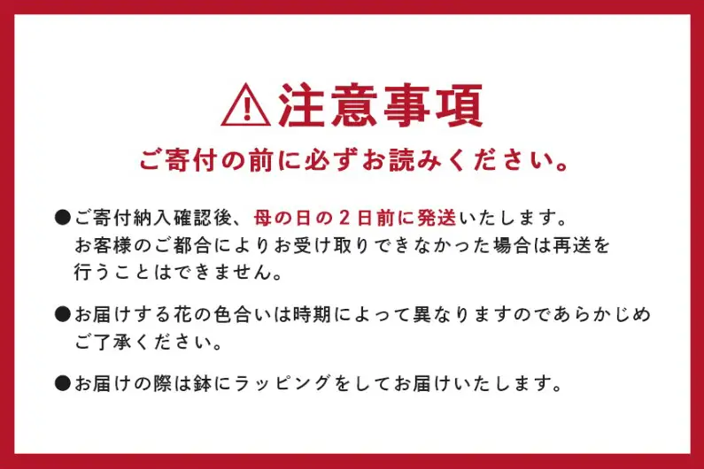 カーネーション オレンジ系 鉢植え 母の日 贈り物 A07-009 