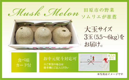 2027年《先行予約》マスクメロン3玉 大玉サイズ(5.5～6キロ)メロン T-farm
