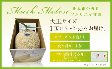 2027年先行予約 数量限定 野菜ソムリエ推薦渥美半島伊良湖潮風育ちマスクメロン1玉大玉サイズ(1.7～2キロ)カラーギフト箱入り 2026年６月下旬～８月上旬発送 田原市 伊良湖産 ギフト プレゼント お取り寄せ 渥美半島 農家直送 送料無料 10000円 一万円 メロンフルーツ