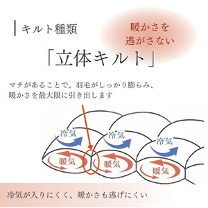 羽毛布団 シングル ホワイトダックダウン85% 合掛け 布団 フレール