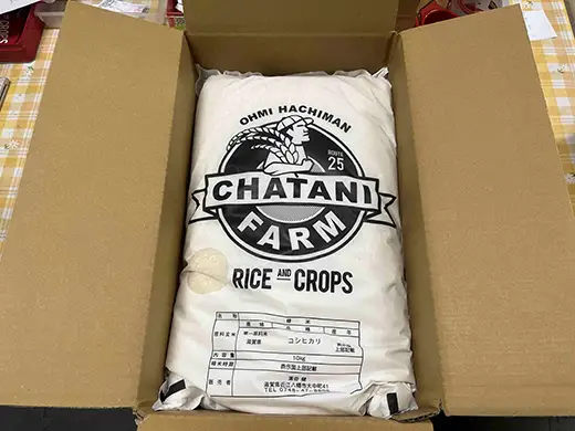 【新米】令和8年産　近江米　コシヒカリ 白米【20kg（10㎏×2袋）】【V016W1】 近江米 こしひかり