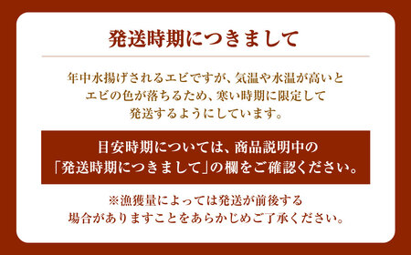 【11月頃発送予定】「南蛮エビ（甘エビ）」1kg 新鮮！県北寝屋漁港直送！ 1043001 
