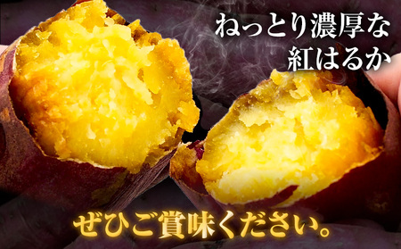 さつまいも 紅はるか 5kg《12月中旬-2月末頃出荷》熊本県 御船町 野菜 芋 さつま いも 焼き芋 送料無料