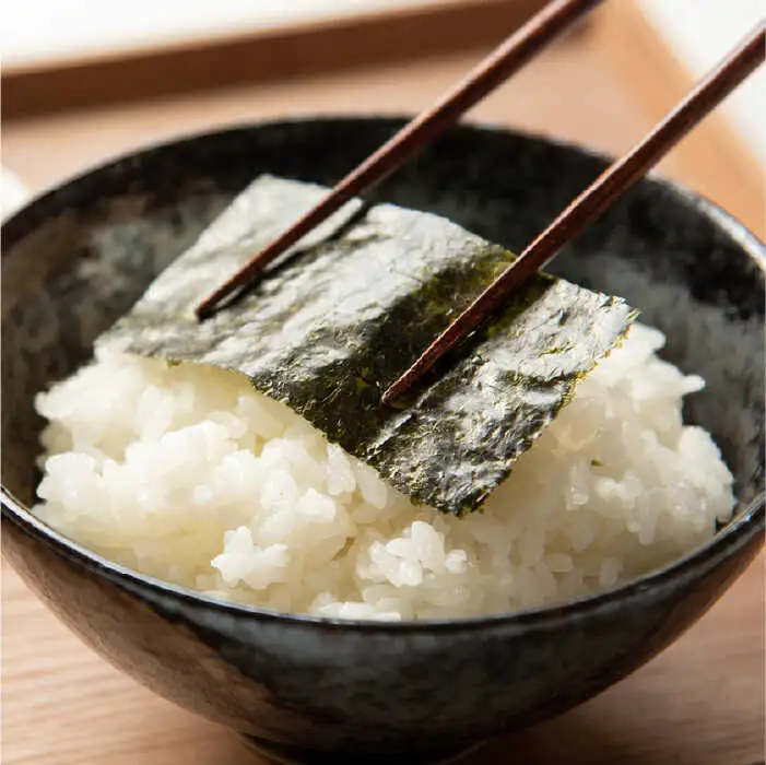 【全6回定期便】一番摘み 有明海産 焼き のり100枚 ( 10枚 × 10袋 )博多 海苔 福岡《糸島》【博多海苔】 [ACG004]