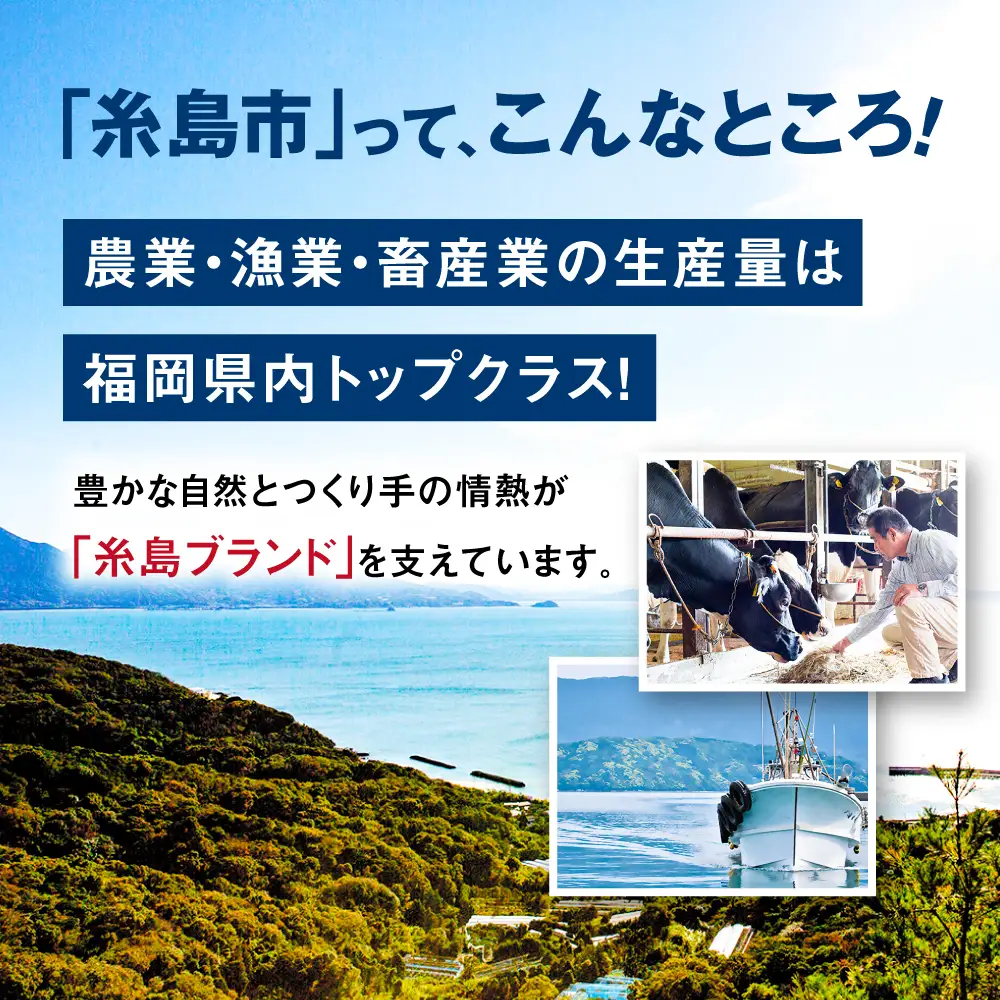 cocoro アロマ ネックレス SV925 ニッケル フリー ロジウム メッキ カットあり《糸島》【タビノキセキ】 [ADB010]