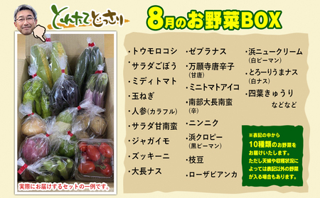 数量限定　矢巾町産　夏野菜セット【10種】8月発送/産地直送 野菜セット 約10品目 新鮮 旬 野菜 やさい きゅうり ナス ピーマン 玉ねぎ りんご じゃがいも トマト ミニトマト キャベツ にんじん 枝豆 ネギ 詰め合わせ お取り寄せ おまかせ おすすめ 岩手県 矢巾町