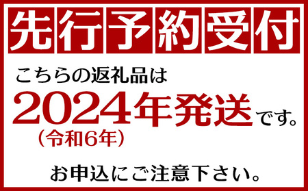 【2027年6月下旬から順次発送・訳あり】JAおきなわ厳選 アップルマンゴー3.0kg(6～12玉)【配送不可地域：離島】【1724297】