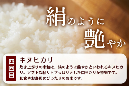 【お米の定期便4回】那賀町のお米バラエティ食べ比べ定期便 10kg×4回 計40kg 【徳島県 那賀町 相生 国産 4品種 白米 精米 あきさかり ヒノヒカリ コシヒカリ キヌヒカリ 10kg 10キロ 40kg 40キロ 食べ比べ 白米 精米 産地直送】YS-7