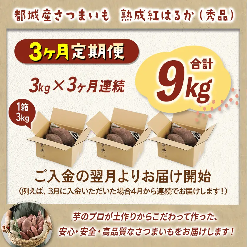  【3回お届け!】都城産 長期熟成紅はるか 3kg 定期便〔TLE3-I201〕_(都城市) 都城産 さつまいも 熟成紅はるか 秀品 3kg サイズ未選別 S～L 