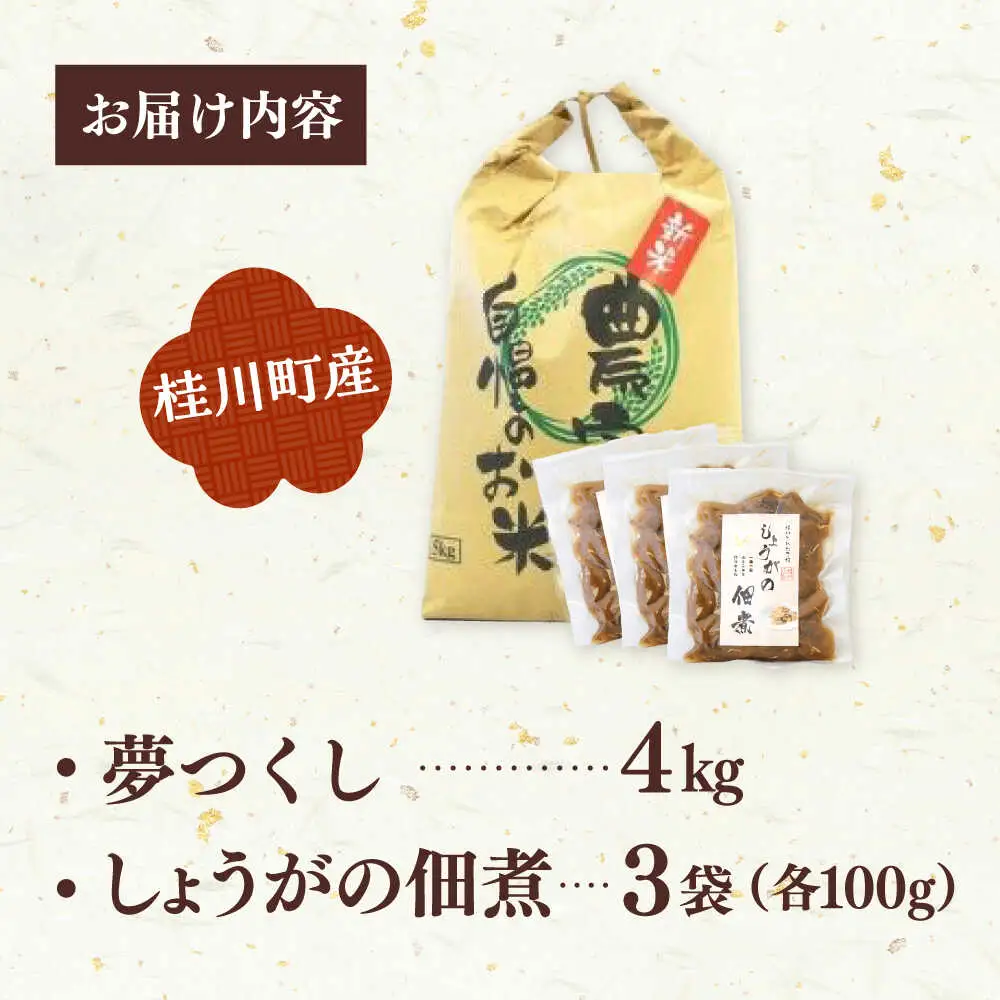  桂川町産 白米 4kg と しょうがの佃煮セット [ADAI001] 米 佃煮