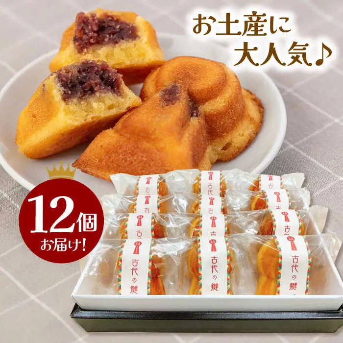 王塚古墳マドレーヌ（12個入り） [ADAJ001]  焼菓子マドレーヌ
