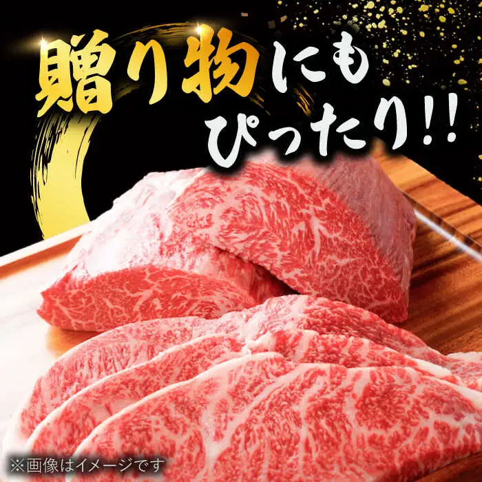 博多和牛 サーロイン ステーキ セット 500g [250g×2枚] 桂川町/株式会社 MEAT PLUS [ADAQ010] 和牛サーロイン 国産 サーロイン ステーキ ステーキ用