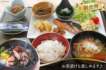 チケット 合格祈願！オクトパス君の聖地めぐり＆グッズ作り ツアー ペア 宿泊券