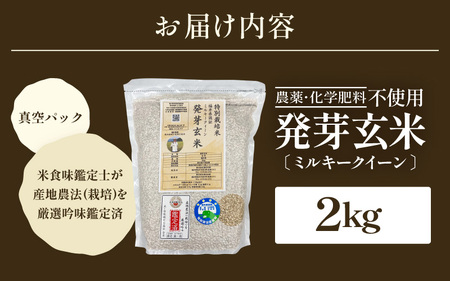 【令和7年産】発芽玄米 ミルキークイーン 2kg 無洗米 米 玄米 [A-29105]