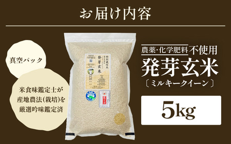 【令和7年産】発芽玄米 ミルキークイーン 5kg 無洗米 米 玄米 [B-2955] 