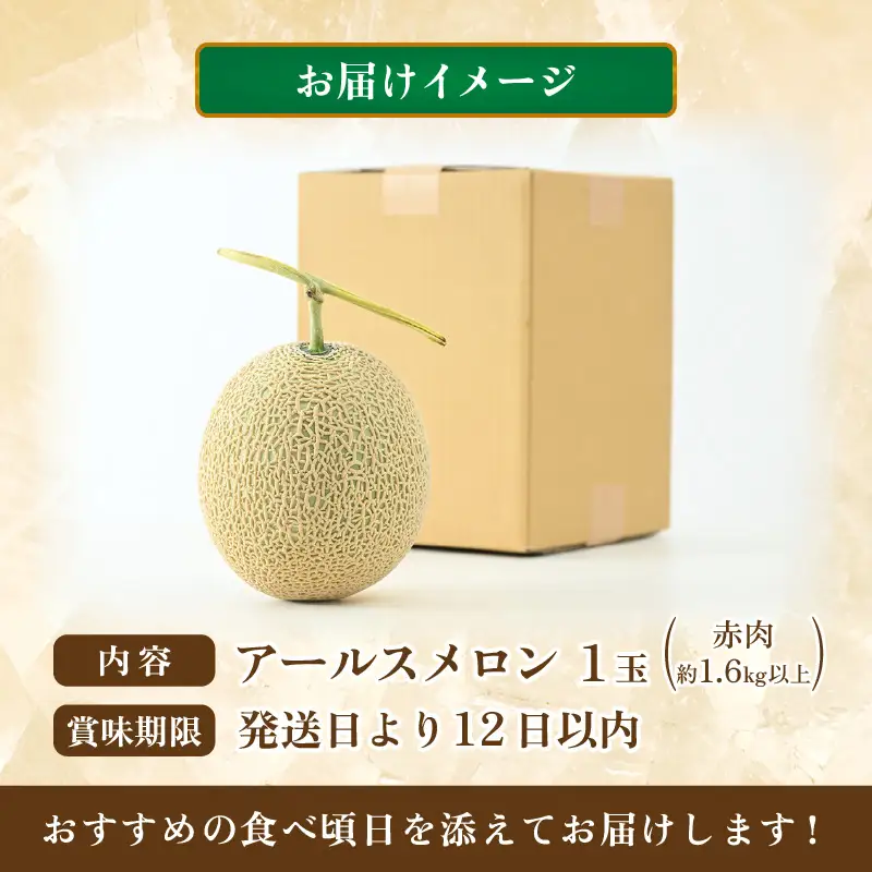 【先行予約】アールスメロン 1玉（約1.6kg以上）赤肉品種 高級メロン！ ／ マスクメロン 大玉 果物 フルーツ 夏 ギフト 農家直送 ※2027年6月下旬以降順次発送予定 [aw065-a003]