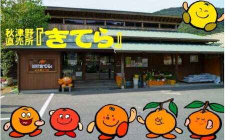 紀州産ミカンジュースと南高梅のジュースセット 季節毎の柑橘ジュース700ml×3本・梅ジュース700ml×3本 / 和歌山 和歌山県産 田辺市 紀州南高梅 梅  梅ジュース みかん みかんジュース 100％ジュース ジュースセット【ktr012-3】