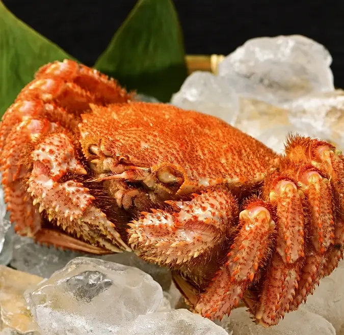 高評価5.0 活ゆで毛蟹 2尾で700～770g【冷蔵】カニ 毛ガニ 蟹 北海道か