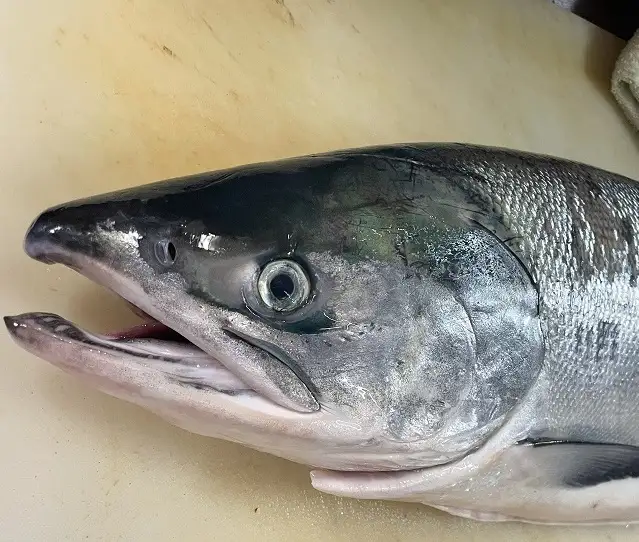 いくら 国産 北海道産 400ｇ(200g×2)  イクラ小分け 醤油漬け 冷凍 天然 鮭 
