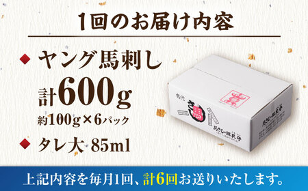 【6回定期便】ヤング馬刺し 計600g（6pc）【馬刺しの郷 民守】馬肉 熊本県 特産品 馬刺し [ZBL075]