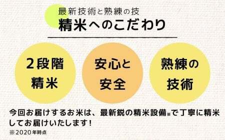 【先行受付】新米 令和7年産 熊本を代表するブランド米13ｋｇ（森のくまさん5kg×2袋、3kg×1袋）【10月より順次発送予定】国産 白米 精米 厳選 マイスター お米 ブランド米 単一原料米 新鮮 おすすめ 定期便 熊本県 甲佐町【価格改定ZF】