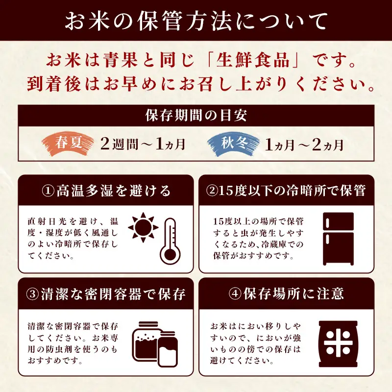無洗米 ブレンド米 甲佐の輝き 10kg 訳あり 新米 令和8年産 11月より新米発送 【価格改定XQ】