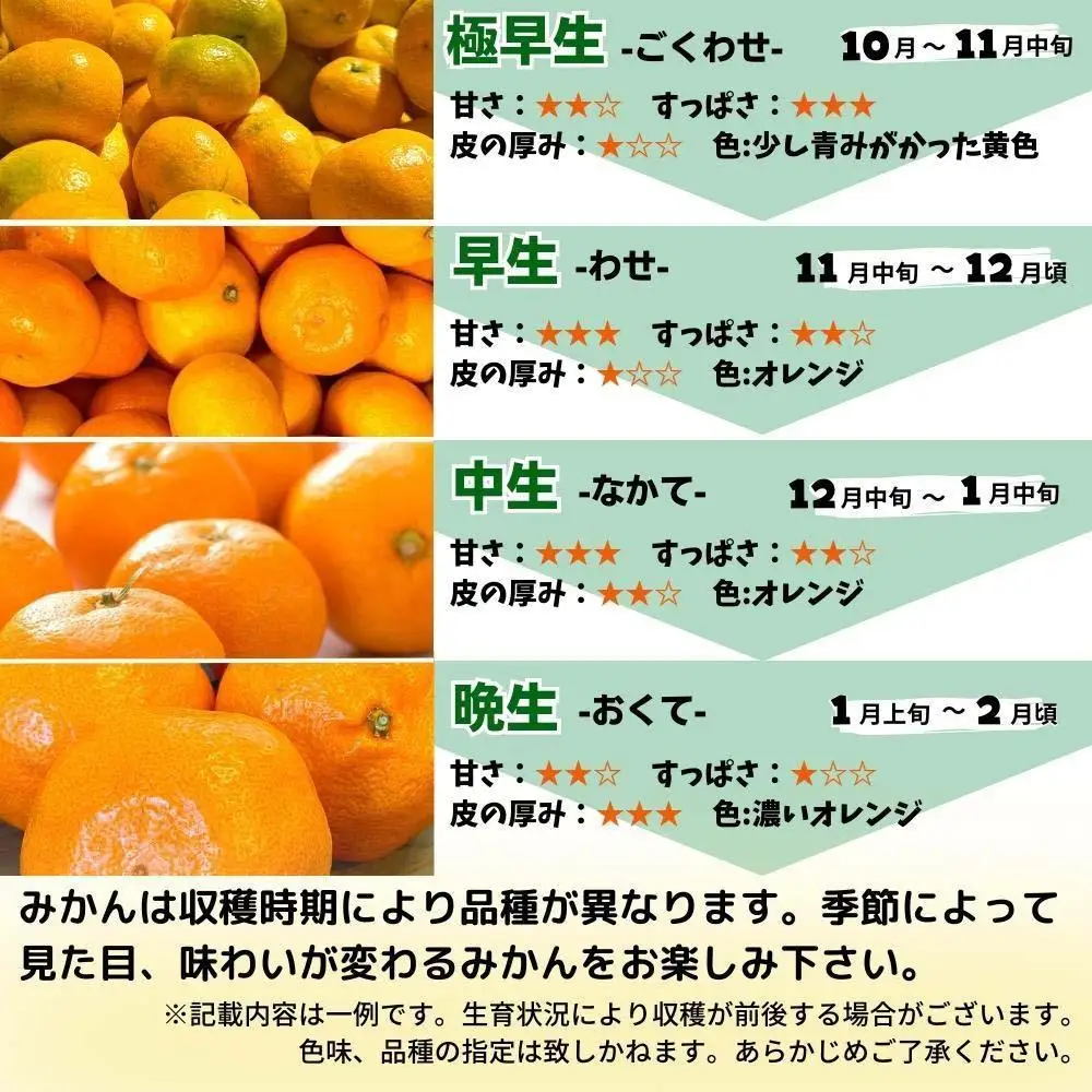 訳あり ゆら早生 みかん 箱込7.5kg(内容量 6.8kg)サイズミックス 有田みかん 和歌山県産 【みかんの会】［2026年10月下旬頃より順次発送予定］