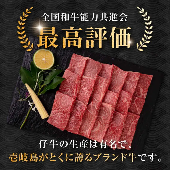 【全6回定期便】壱岐牛 赤身 焼肉用 400g《壱岐市》【中津留】 赤身 焼肉 BBQ 牛肉 [JFS049] 126000 126000円