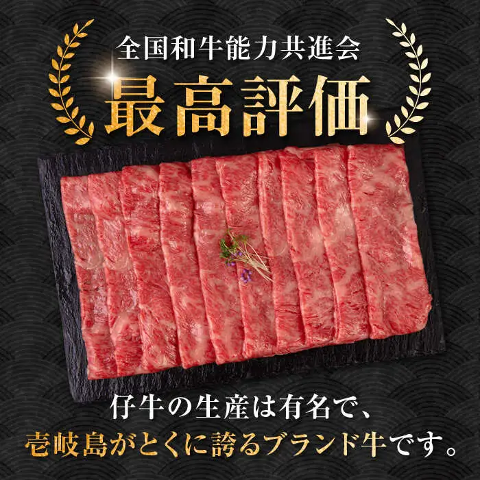 【全6回定期便】壱岐牛 ロース すき焼き・しゃぶしゃぶ用 550g《壱岐市》【中津留】 サーロイン リブロース 肩ロース すき焼き しゃぶしゃぶ 牛肉 [JFS064] 198000 198000円