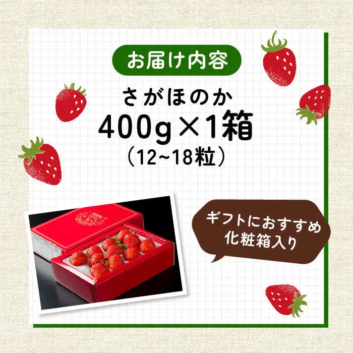 【2027年1月以降順次発送】【化粧箱入り】白石産いちご「さがほのか」400g / 佐賀県 いちご / 岸川農園 [41ASAG003]