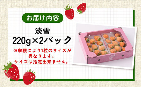【2027年1月以降順次発送】淡いピンクの白いちご「淡雪」220g×2パック / 佐賀県 いちご / 岸川農園 [41ASAG004]