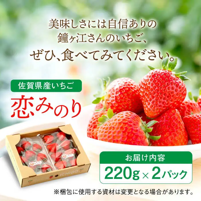 【2027年1月より順次発送】佐賀県産いちご 恋みのり 220g×2パック / 佐賀県 / 鐘ヶ江農園 [41ASBK001]