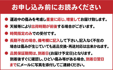 【2026年9月中旬以降発送】★小玉★早熟みかん 計3kg（2.6kg＋400g傷み保証分） / 佐賀県 / 山本農園 [41ATBT005]